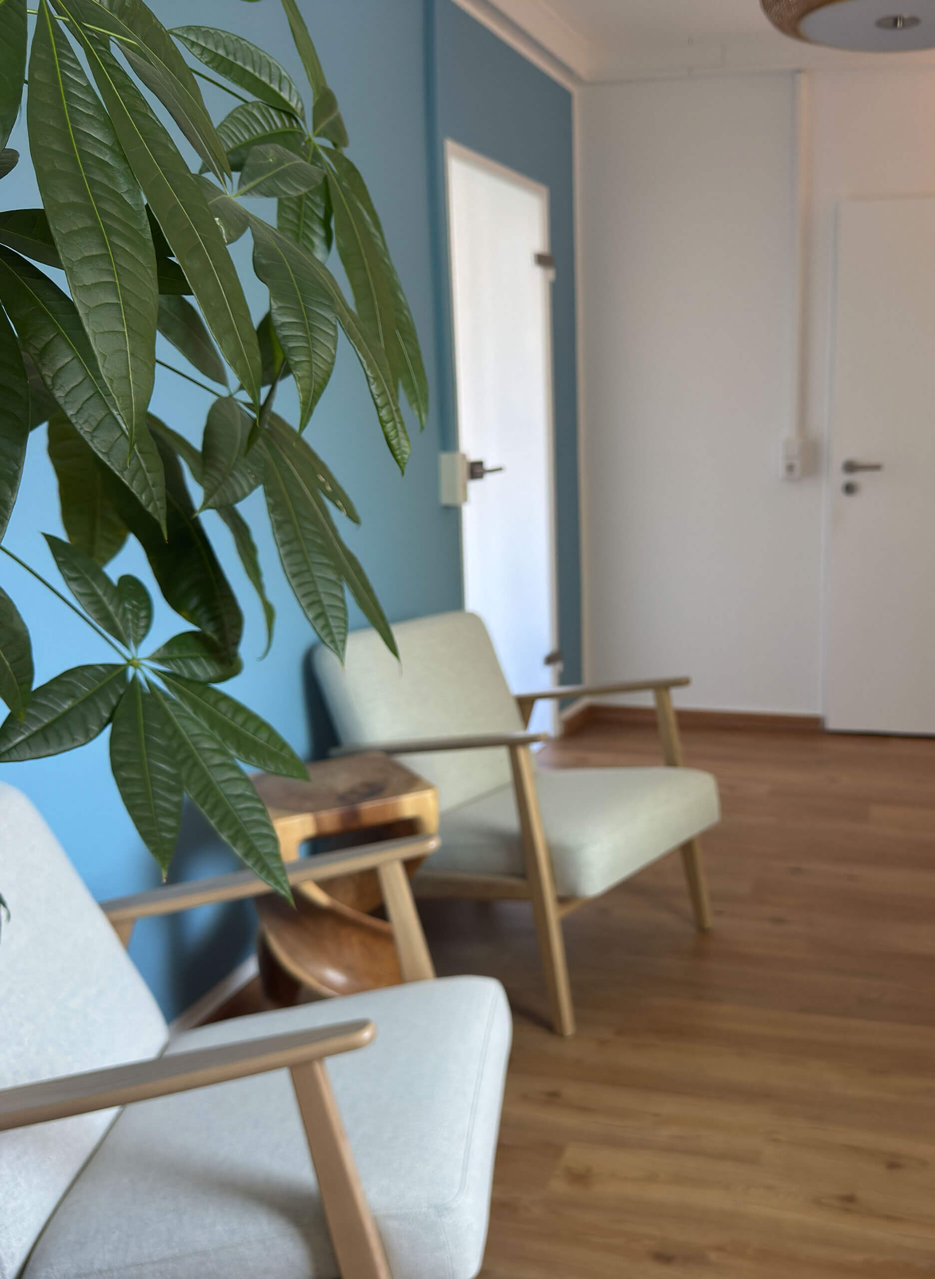 Wartezimmer Therapie & Training Tim Klein